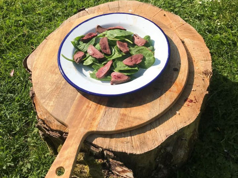 Pigeon Breasts on a Simple Salad