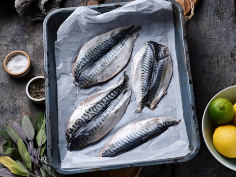 Wild Mackerel Fillets