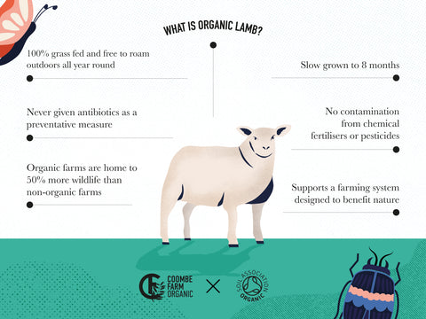 Organic Nitrate-Free Lamb Bacon