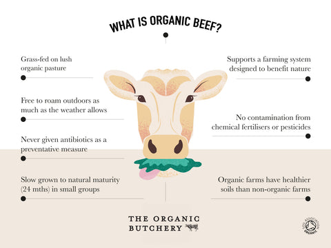 Organic Beef Steak Mince