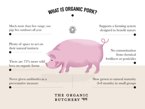 Organic Nitrate-Free Gammon Hock