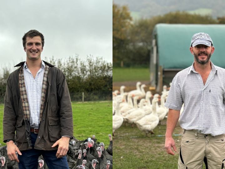 A Tale of Two Farms