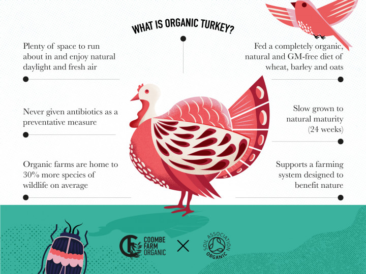 What is organic Turkey?