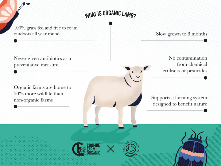 What is organic lamb?