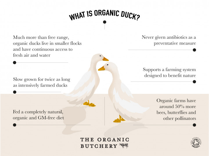 Organic Duck