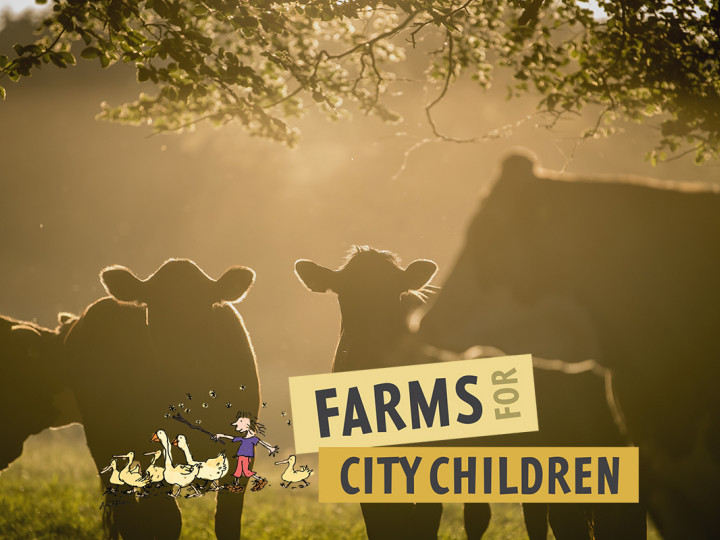 Farms for City Children (Green Friday)2